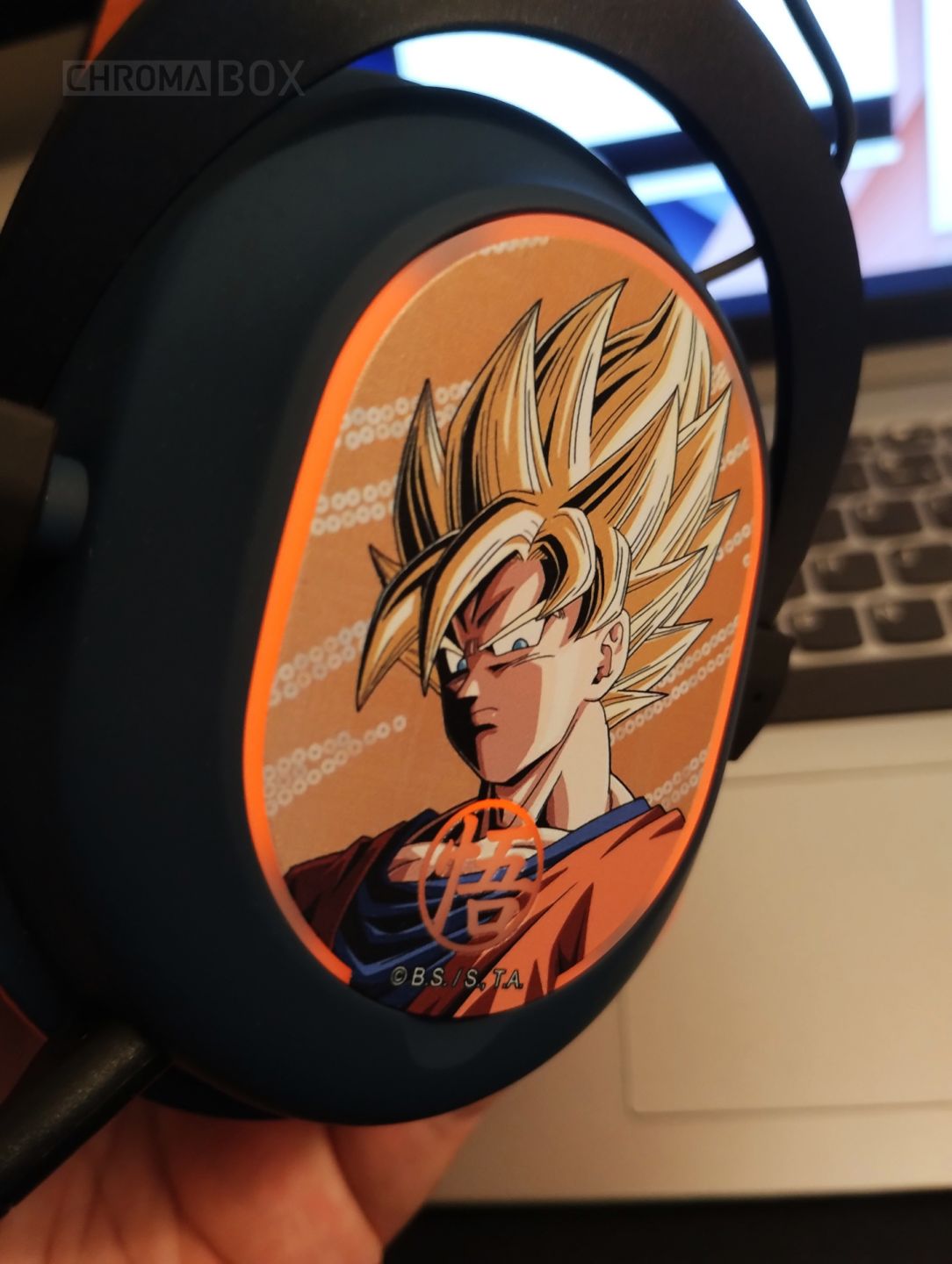 plaque goku