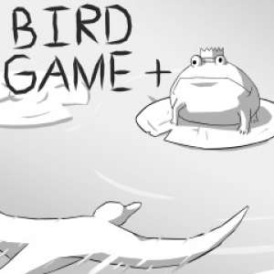 Image du jeu Bird Game +